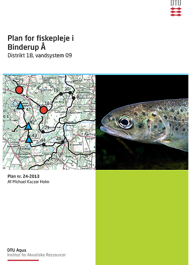 Plan for fiskepleje i Binderup Å