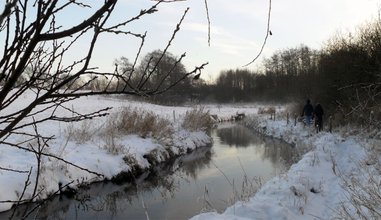 Frostklart udsyn - det var en dejlig tur ved åen og hjortevildet havde sat friske spor i sneen ...